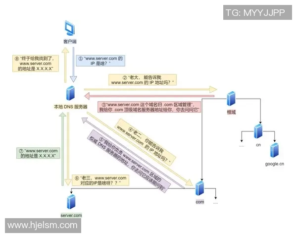 数据模型解析：灰熊队胜率预测与未来走势分析